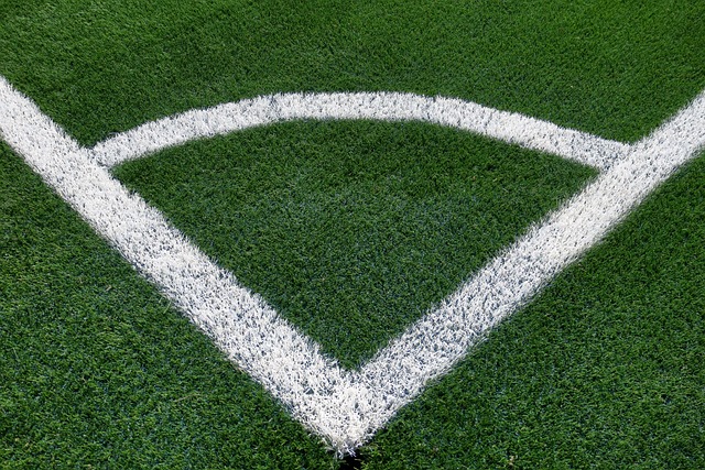 artificial-turf-640x480-91867870.jpeg