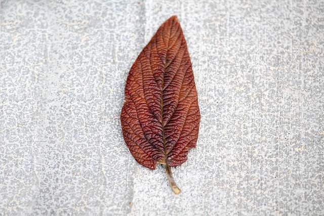 colored concrete