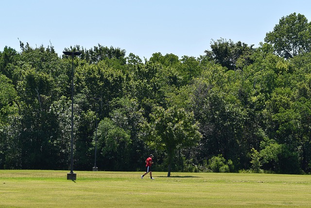Navigating Carrollton TX’s Urban Forest: Commercial Tree Service Essentials