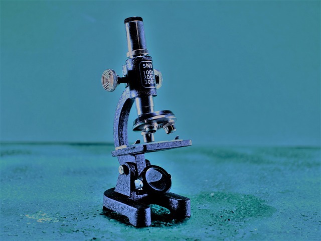 Portland OR Naturopaths: Unlocking Holistic Health Experts for Well-Being
