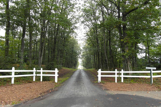 driveway