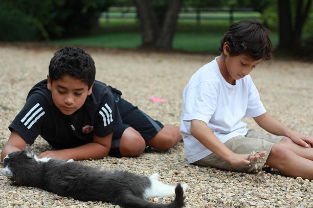 Eco-Friendly, Weather-Resistant Concrete Driveways: Keller TX Expert Solution