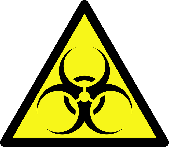 hazardous tree removal lewisville tx