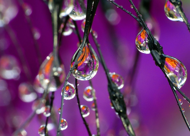 10 Pass Ozone Therapy for Lyme Disease in Lake Oswego, OR: A Natural Solution