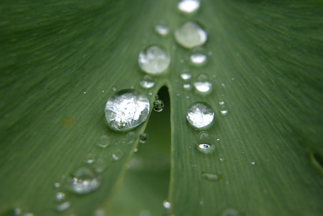 iv-drip-640x480-15301801.jpeg