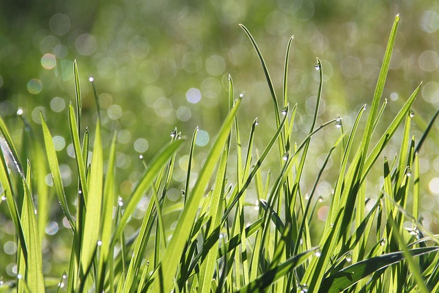 Discover Compassionate Lake Oswego OR 10 Pass Ozone Therapy Benefits