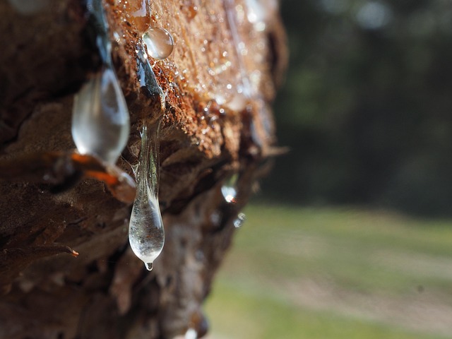 iv-drip-640x480-56605527.jpeg