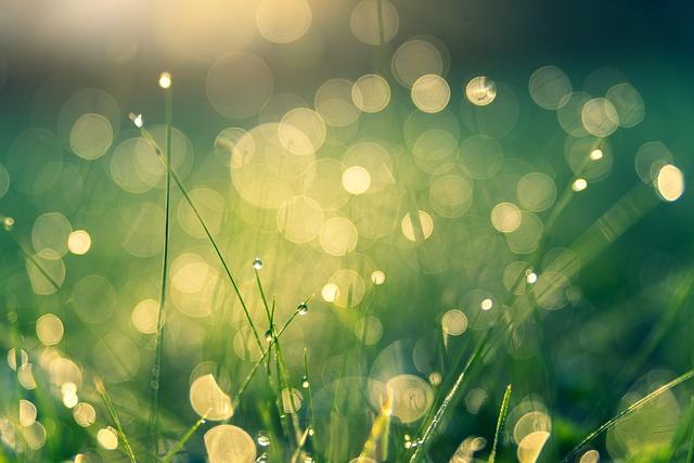 Exploring High-Dose Oxygen Therapy: Benefits and Reputable Clinics in Boise, ID