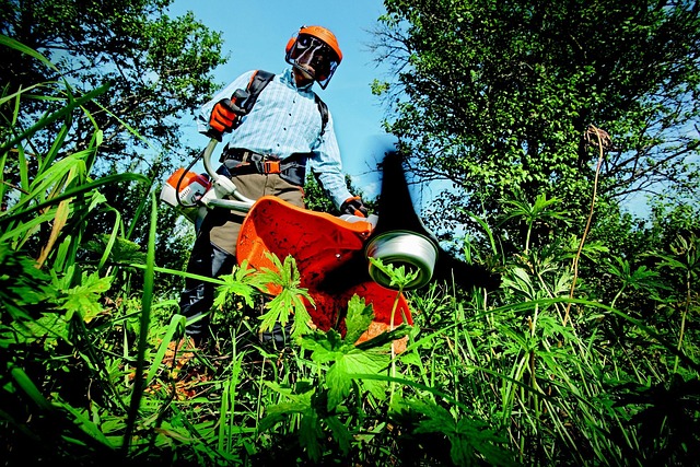 landscaping-640x480-87570692.jpeg
