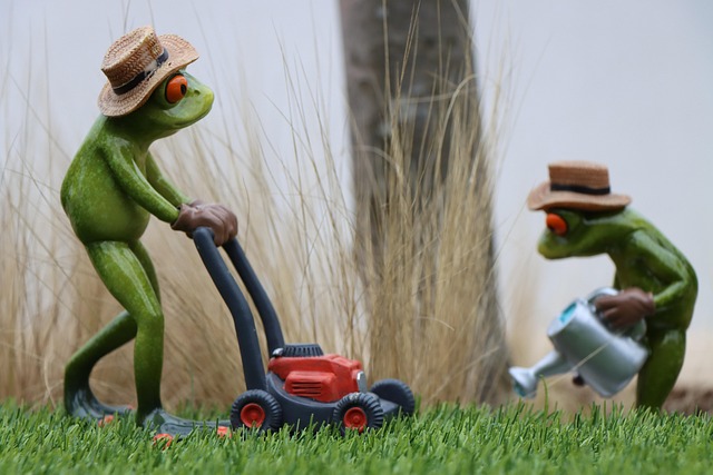 lawn