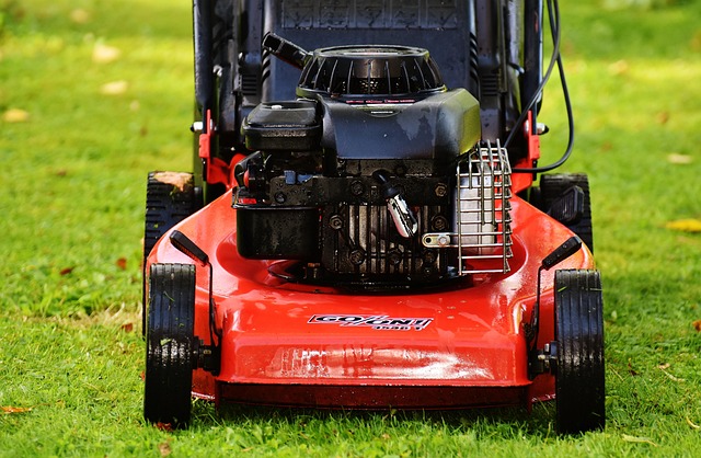 lawn