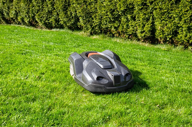 lawn