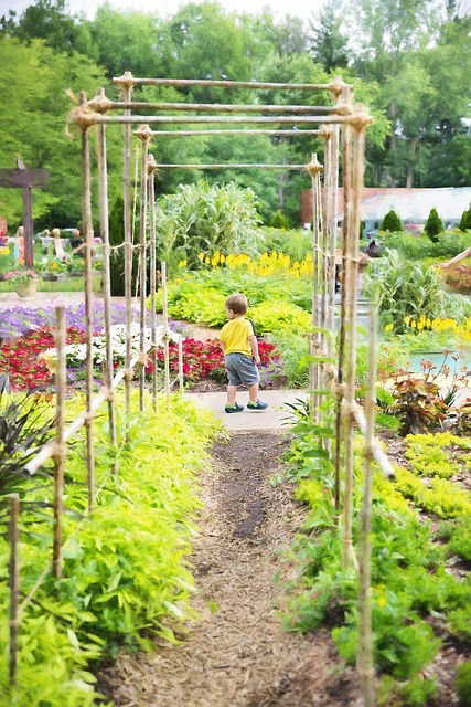 Eco-Friendly, Weather-Resistant Patios: Keller TX’s Sustainable Solution