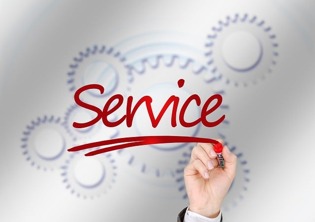 Transform Your Carrollton Yard with Professional Residential Tree Planting Services
