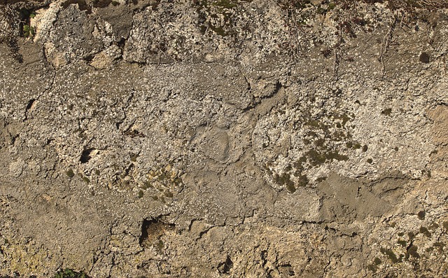 retaining wall