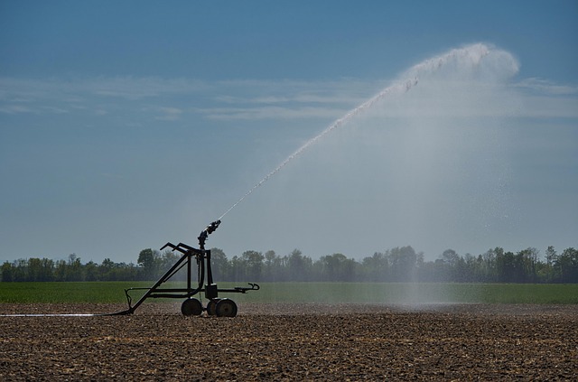 sprinklers