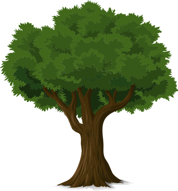 tree