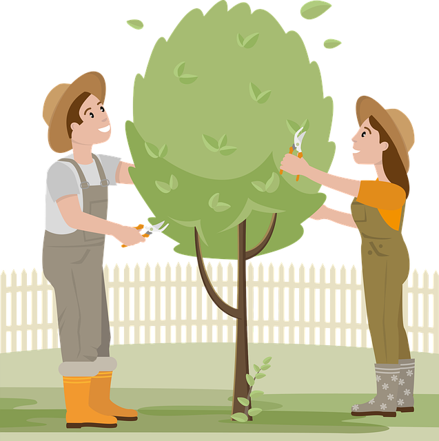 tree pruning carrollton tx