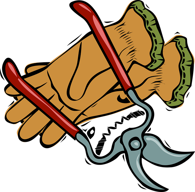 tree-pruning-lewisville-tx-640x480-48720485.png