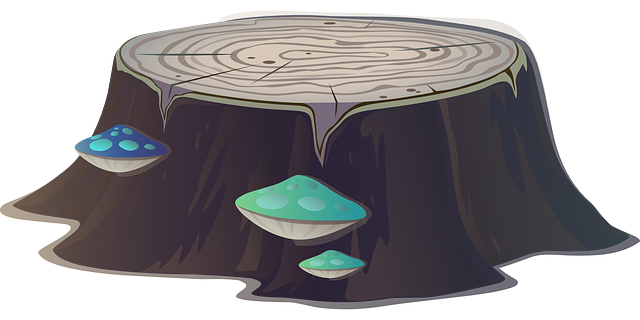 tree stump