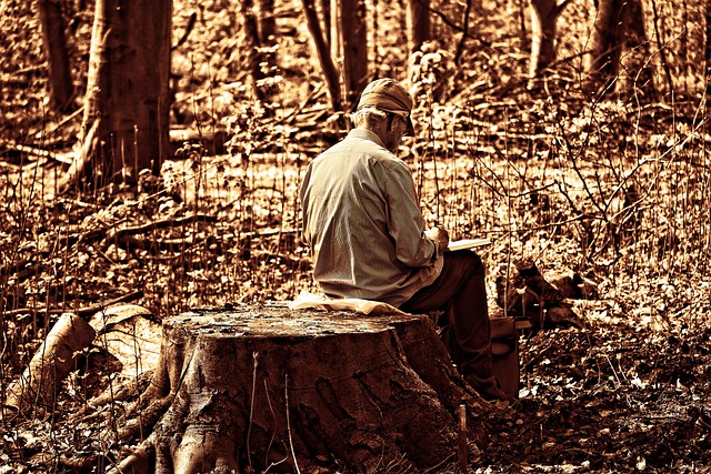tree-stump-640x480-77606519.jpeg