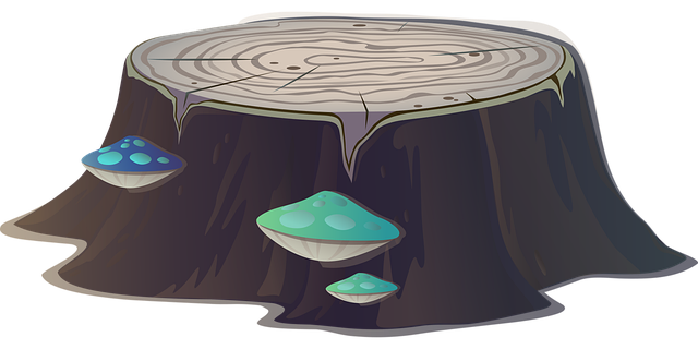tree stump