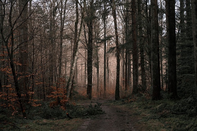 trees