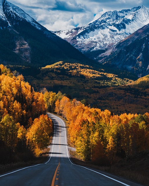trees