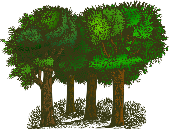 trees