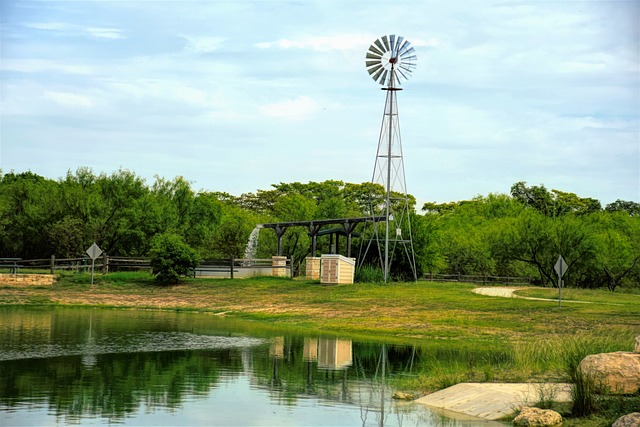 arborist lewisville tx