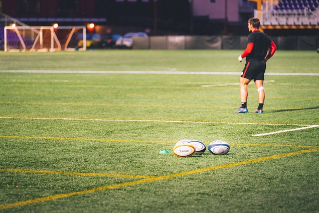 artificial-turf-640x480-5302763.jpeg