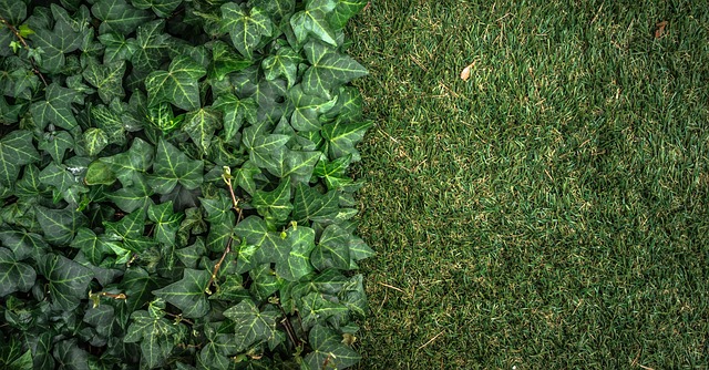 artificial turf