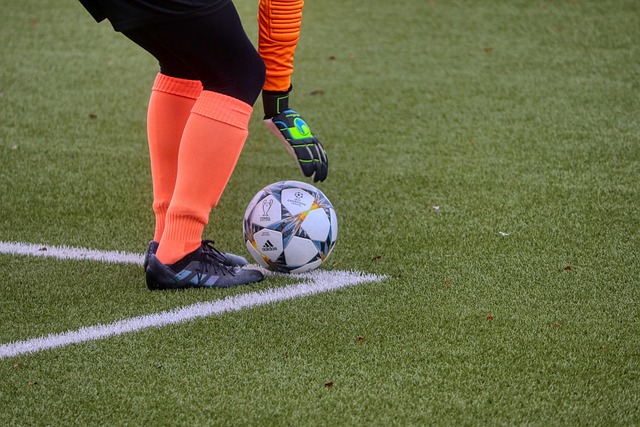 artificial turf