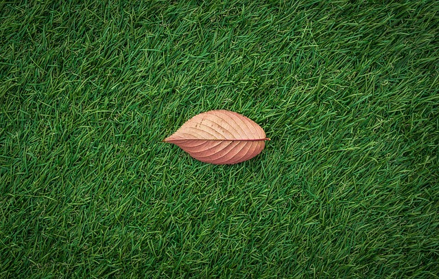 artificial-turf-640x480-96057300.jpeg