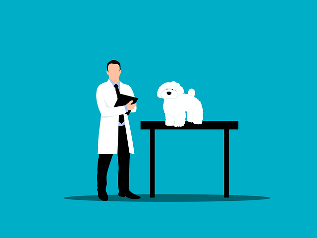 clinic-640x480-15615061.png