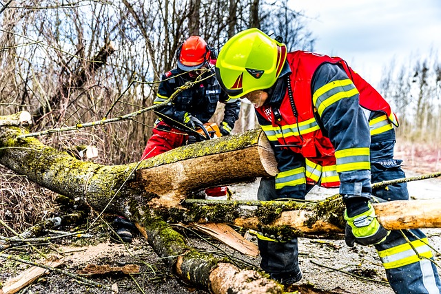 commercial tree service lewisville tx