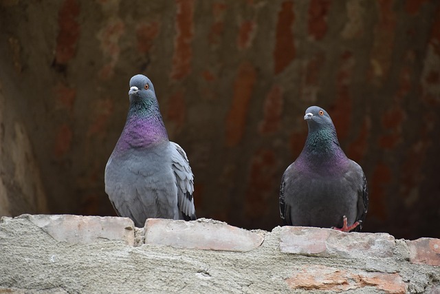 concrete-640x480-42320874.jpeg
