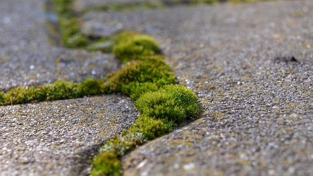concrete paver block