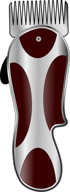 court-640x480-43567057.png