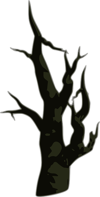dead tree removal carrollton tx