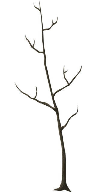 dead tree removal lewisville tx
