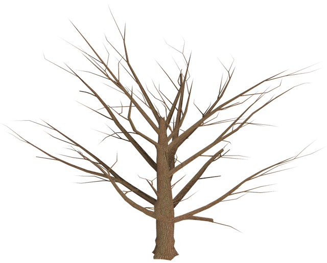 dead tree removal lewisville tx