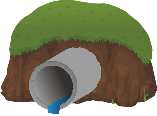 drainage