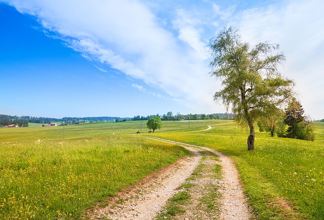 Professional Family Law Mediation in Vancouver WA: Your Path to Resolution