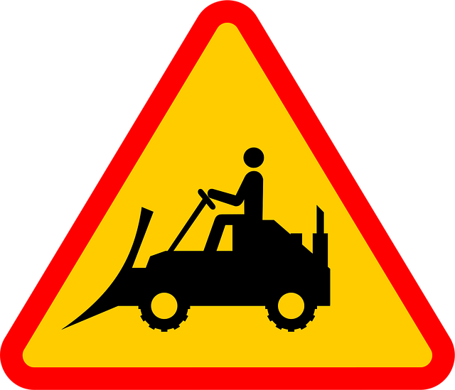 hazardous tree removal carrollton tx