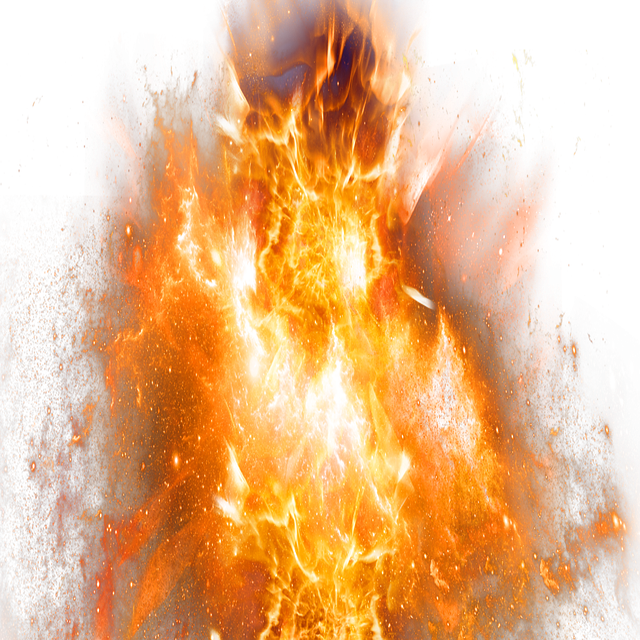 hazardous-tree-removal-carrollton-tx-640x480-30220889.png