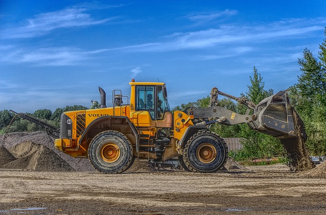 hazardous tree removal carrollton tx