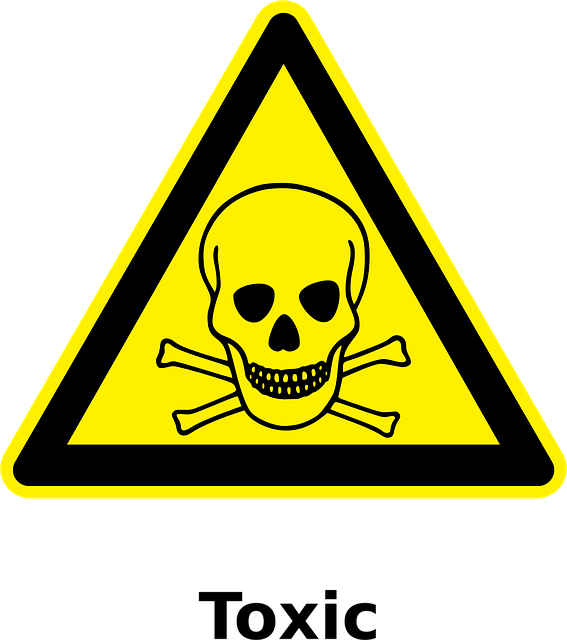 hazardous tree removal lewisville tx