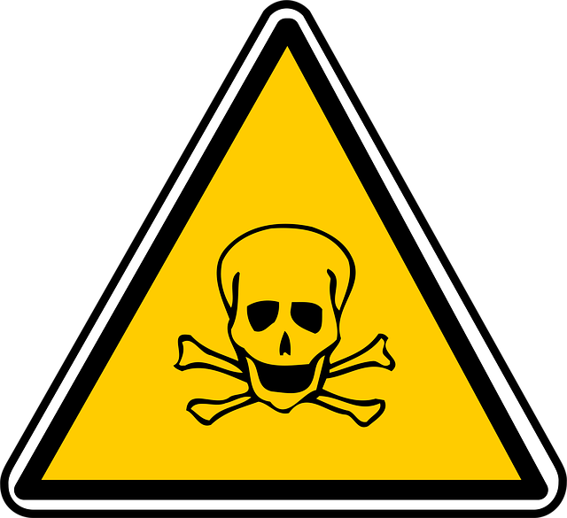 hazardous tree removal lewisville tx