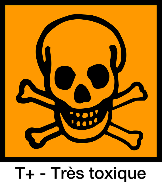hazardous-tree-removal-lewisville-tx-640x480-78866566.png